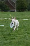 FRISBEE 028